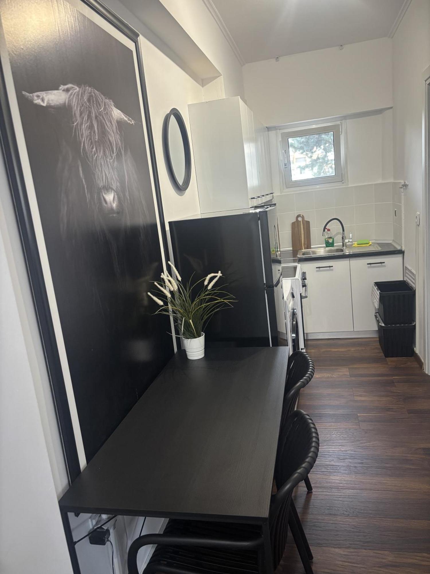 Art Decor Luxury Apartment 科莫蒂尼 外观 照片